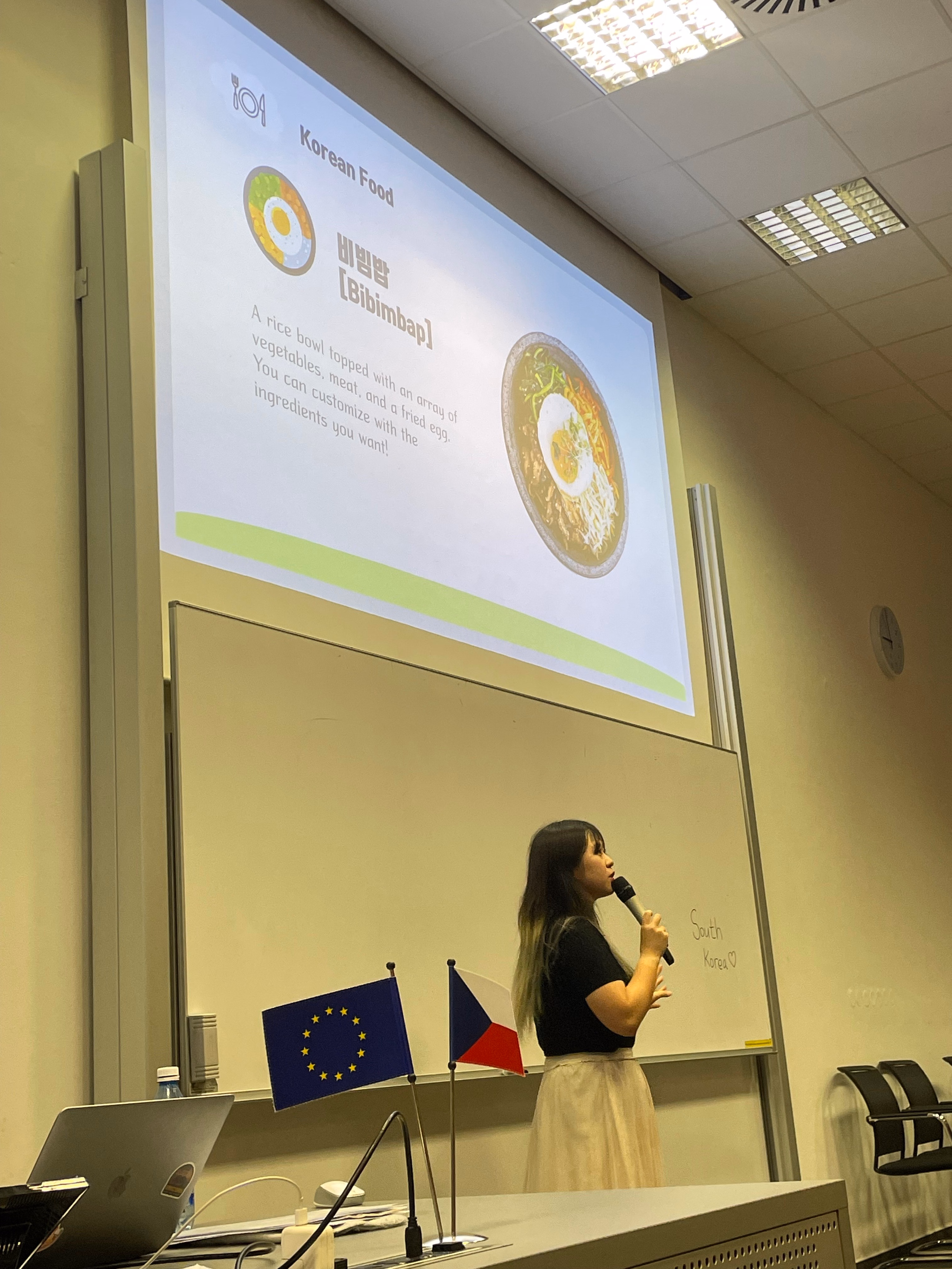 Teaching Korean during exchange in Czechia